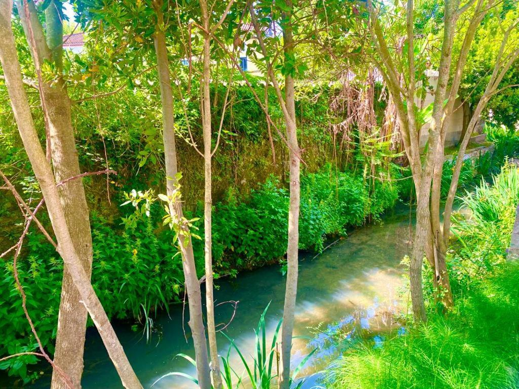 Domaine D'Ella Jourre Διαμέρισμα Canet  Εξωτερικό φωτογραφία